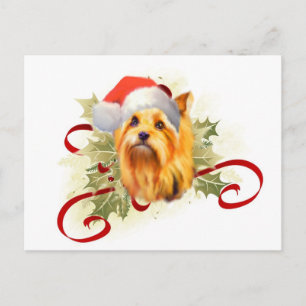 Yorkshire Terrier Christmas Postcard Feiertagspostkarte