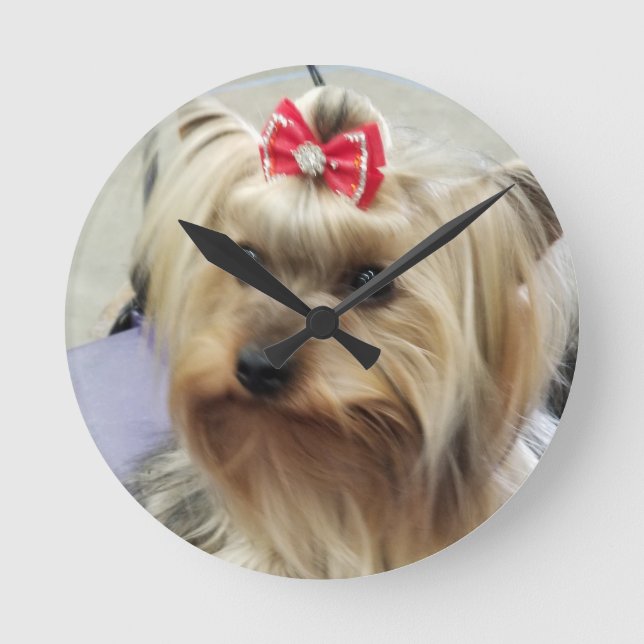 Yorkshire Terrier Clock Runde Wanduhr (Vorderseite)