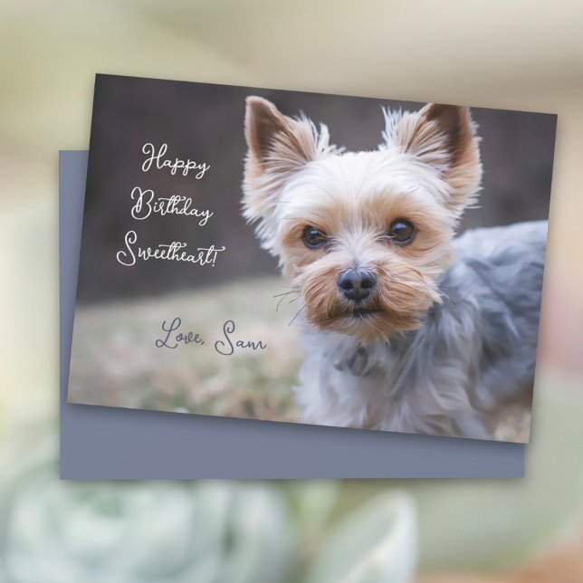 Yorkshire Terrier Custom Birthday Card Karte (Von Creator hochgeladen)