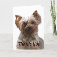 Yorkshire Terrier Dankeschön-Karte