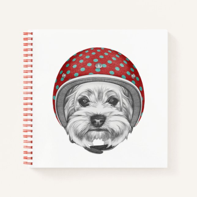 Yorkshire Terrier Daredevil Notizbuch (Vorderseite)