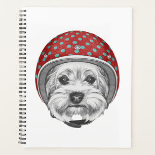 Yorkshire Terrier Daredevil Planer