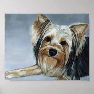 Yorkshire Terrier Dog Art Print Poster