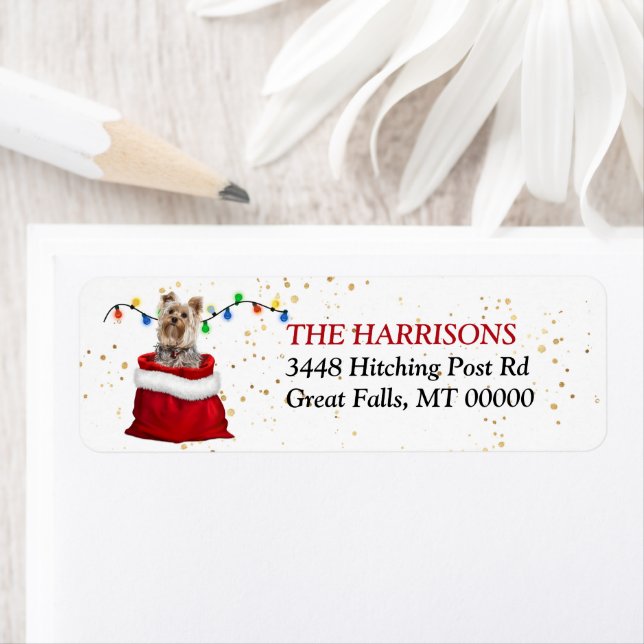 Yorkshire Terrier Dog in der Rücksendeadresse "Gif (Insitu)