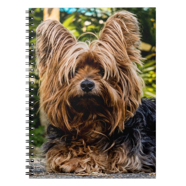 Yorkshire Terrier Dog Notizblock (Vorderseite)