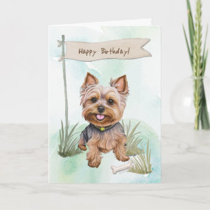Yorkshire Terrier Dog Outdoor under Birthday Sign Karte