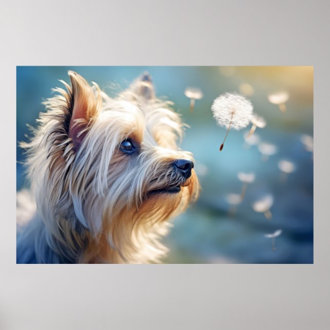 Yorkshire Terrier Dog Pet Animal Poster (Vorne)