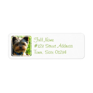 Yorkshire Terrier Dog Return Address Label