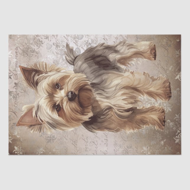 Yorkshire Terrier Dog Seidenpapier (Vorderseite)