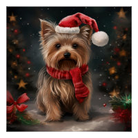 Yorkshire Terrier Dog zu Weihnachten im Schnee