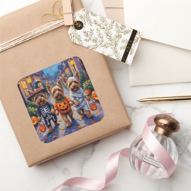 Yorkshire Terrier Dogs in Halloween Costumes Quadratischer Aufkleber (Schenken)