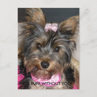 Yorkshire Terrier, ES IST RUFF OHNE DICH! Postkarte