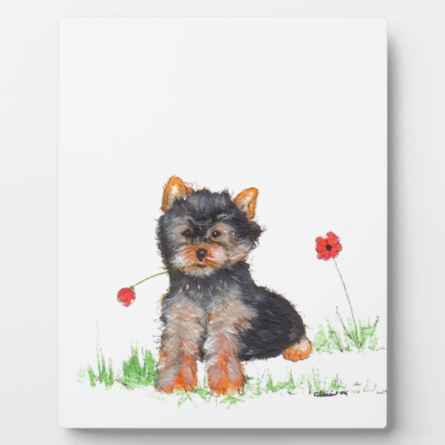 Yorkshire Terrier Fotoplatte (Vorderseite)
