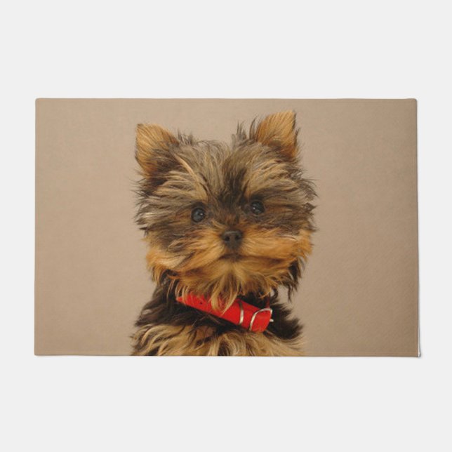 Yorkshire Terrier Fußmatte (Vorderseite)