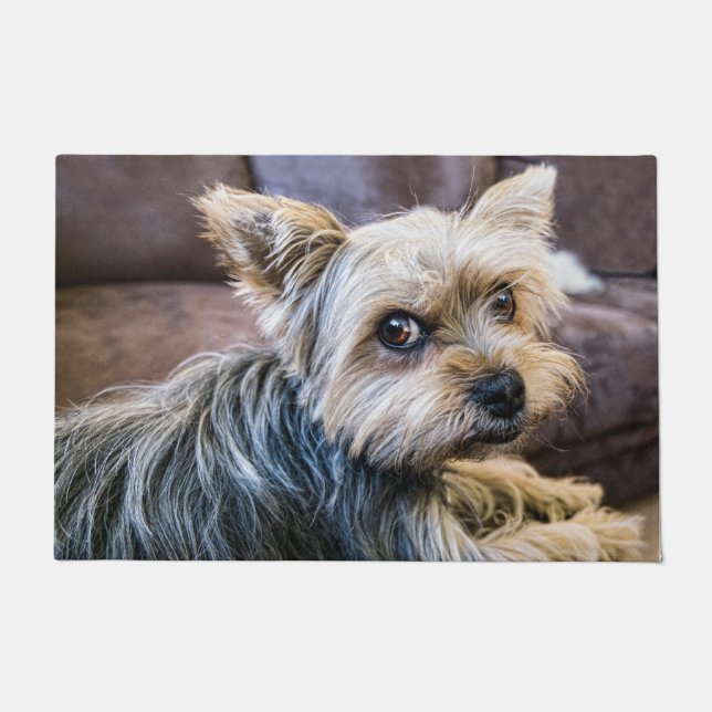 Yorkshire Terrier Fußmatte (Vorderseite)