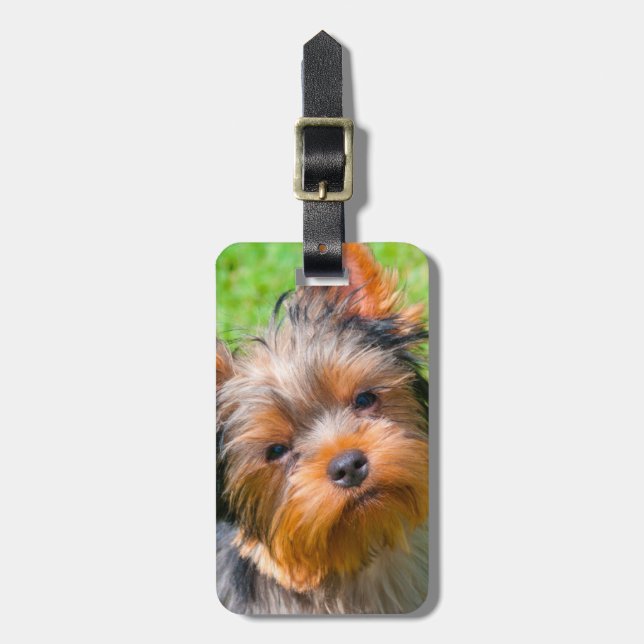 Yorkshire Terrier Gepäckanhänger (Vorderseite vertikal)