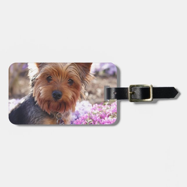 Yorkshire Terrier Gepäckanhänger (Vorderseite horizontal)