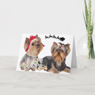 Yorkshire Terrier glauben an Santa Cards Feiertagskarte