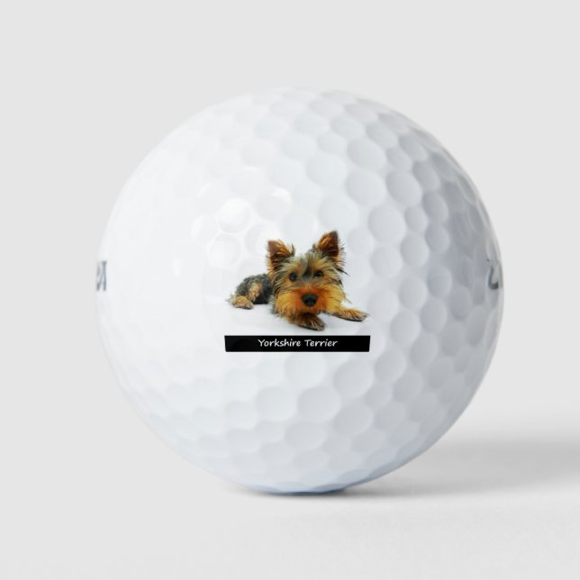 Yorkshire Terrier Golfball (Vorderseite)