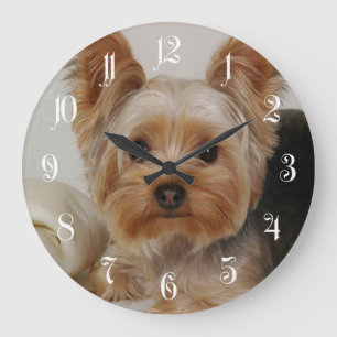 Yorkshire Terrier Große Wanduhr
