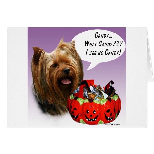 Yorkshire Terrier Halloween Candy (Vorderseite (Horizontal))