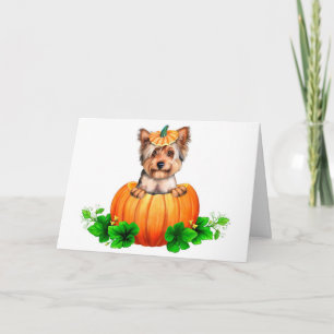 Yorkshire-Terrier-Halloween-Kürbislaterne Karte