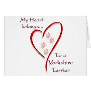 Yorkshire Terrier Heart Belongs