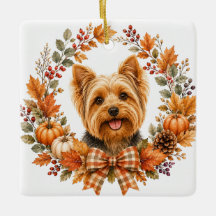 Yorkshire Terrier Herbst