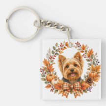 Yorkshire Terrier Herbst