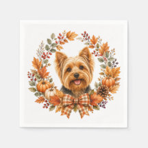 Yorkshire Terrier Herbst