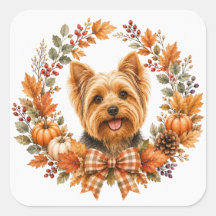 Yorkshire Terrier Herbstkranz