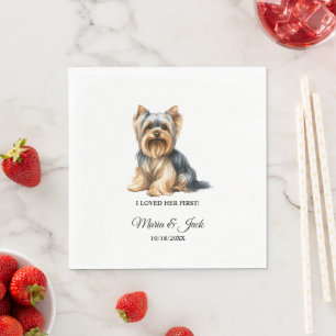 Yorkshire Terrier Hund, den ich bei ihrer ersten H Serviette