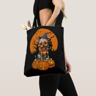 Yorkshire Terrier Hund Halloween