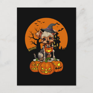 Yorkshire Terrier Hund Halloween Feiertagspostkarte