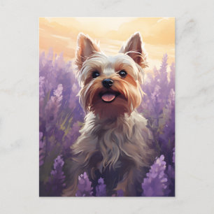 Yorkshire Terrier im Lavender-Feld Postkarte
