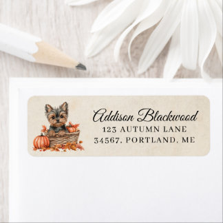 Yorkshire Terrier in einem Kürbiskorb