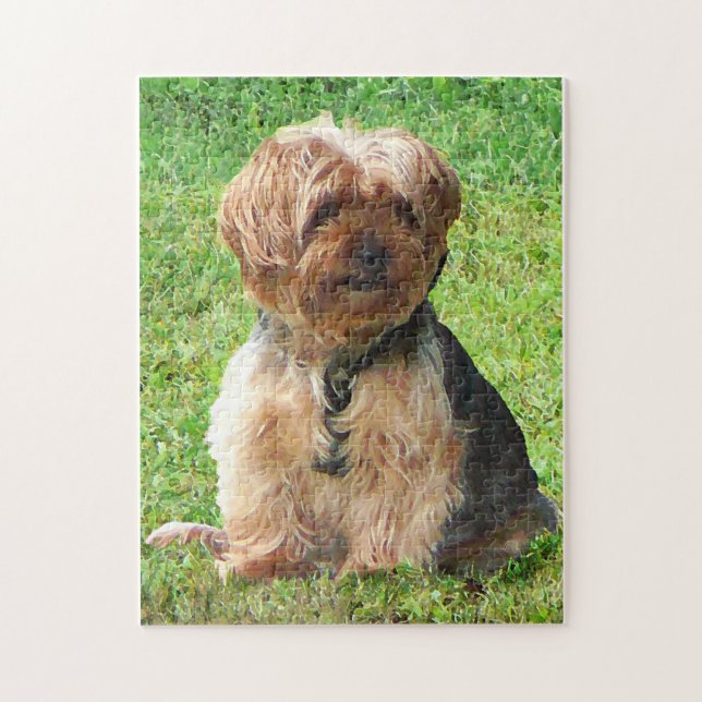 Yorkshire Terrier in Park Puzzle (Vertikal)