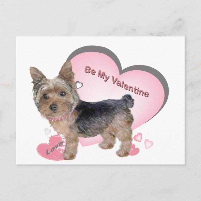 Yorkshire Terrier in rosa Karten (Vorderseite)