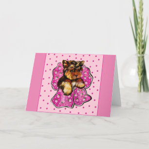 YORKSHIRE TERRIER KARTE