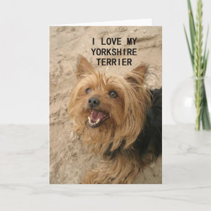 Yorkshire Terrier Liebe mit schwarz und braun Karte