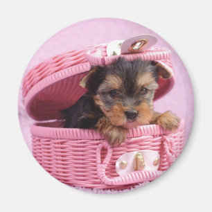 Yorkshire Terrier Magnet