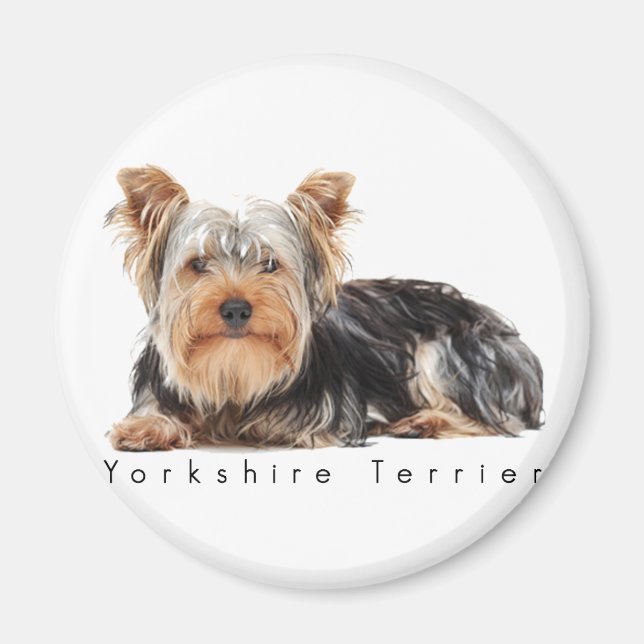 Yorkshire Terrier Magnet (Vorne)