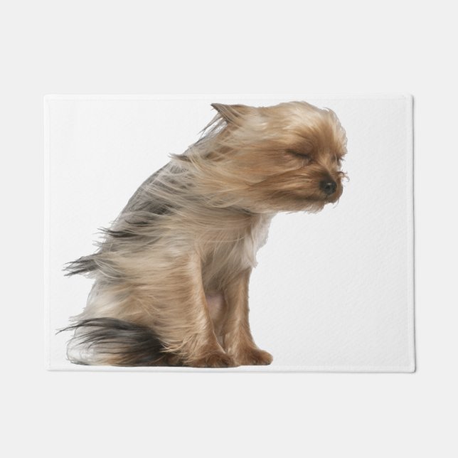 Yorkshire Terrier mit Hair im Wind Fußmatte (Vorderseite)