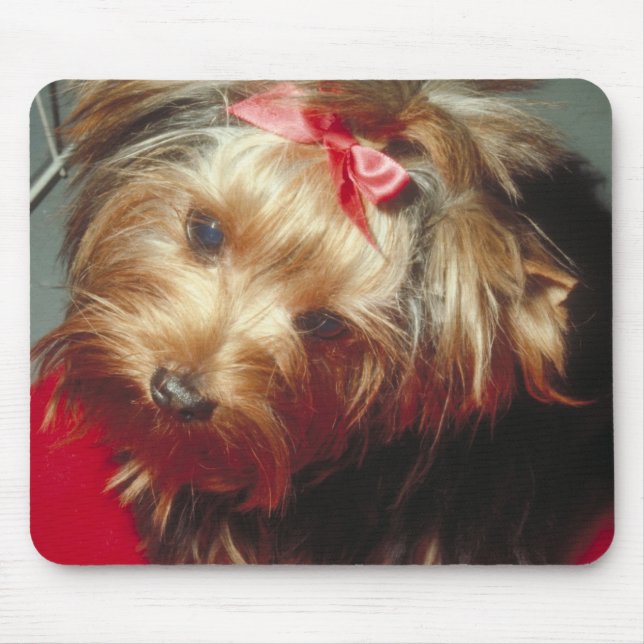 Yorkshire Terrier Mousepad (Vorne)