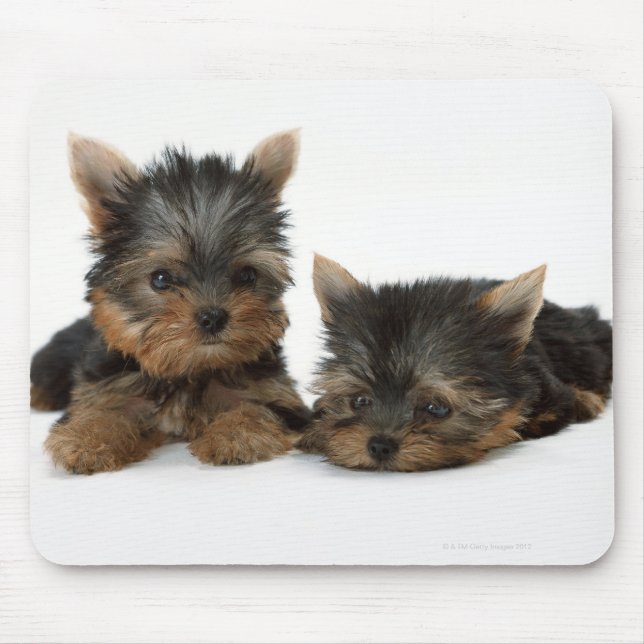 Yorkshire Terrier Mousepad (Vorne)