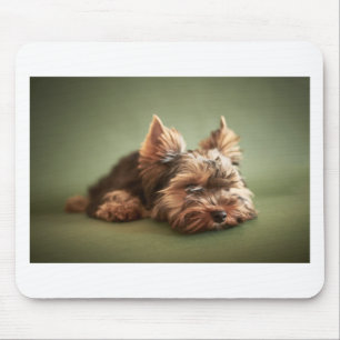 Yorkshire Terrier Mousepad