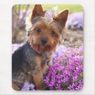 Yorkshire Terrier Mousepad