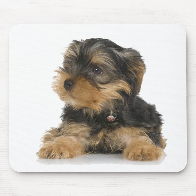 Yorkshire Terrier Mousepad (Vorne)