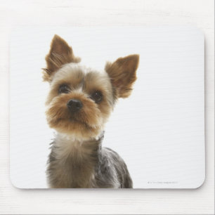 Yorkshire Terrier Mousepad