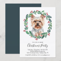 Yorkshire Terrier Niedlich Dog Elegantes Party